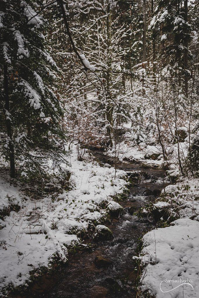 Vosges — photographie de Samten Norbù