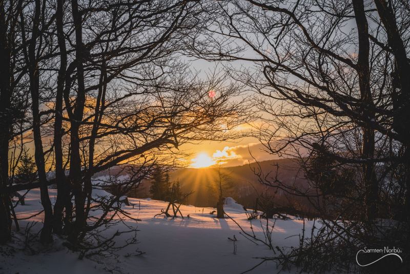 Vosges — photographie de Samten Norbù