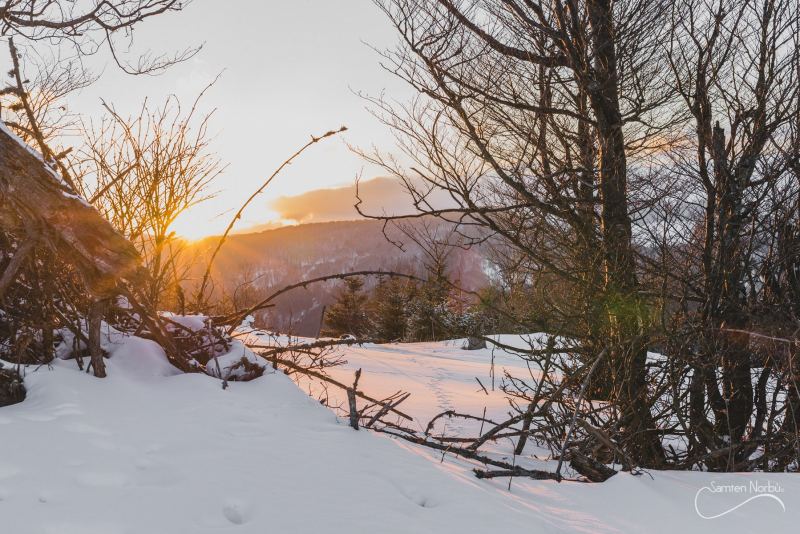 Vosges — photographie de Samten Norbù