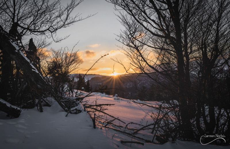 Vosges — photographie de Samten Norbù