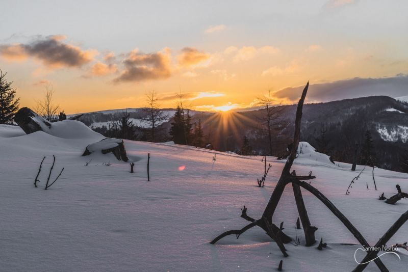 Vosges — photographie de Samten Norbù