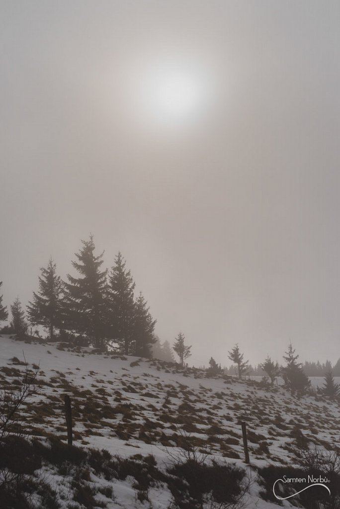 Vosges — photographie de Samten Norbù