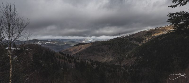 Vosges — photographie de Samten Norbù