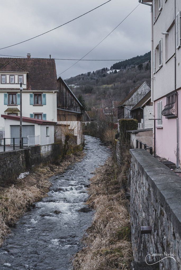 Vosges — photographie de Samten Norbù