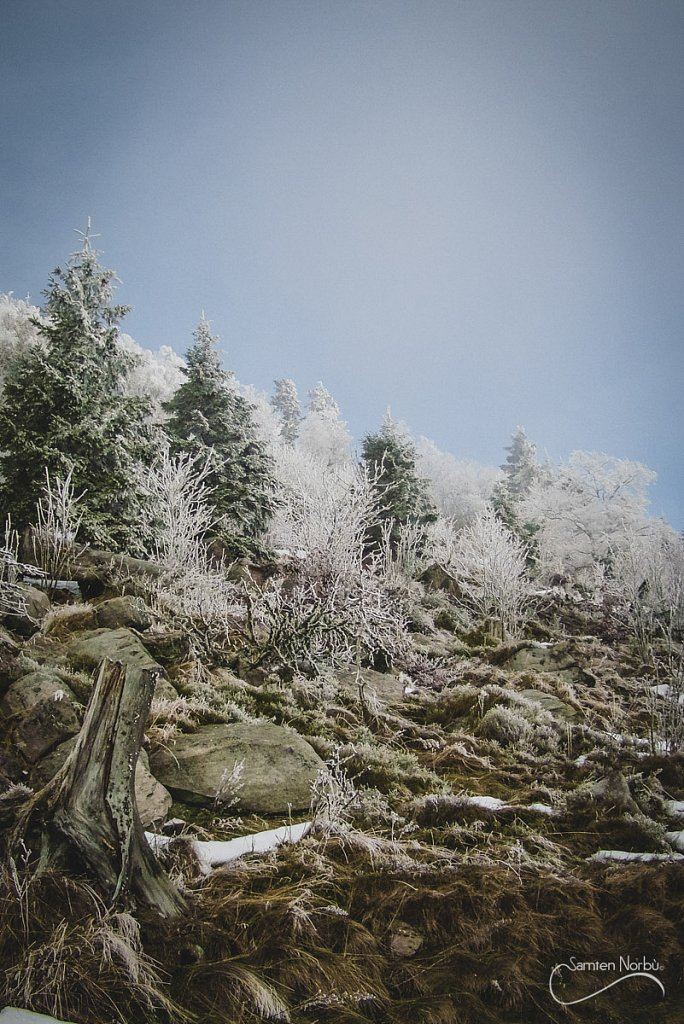 Vosges — photographie de Samten Norbù