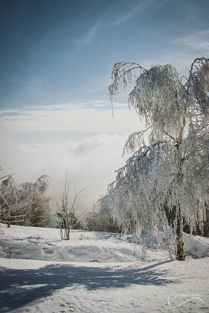 Vosges — photographie de Samten Norbù