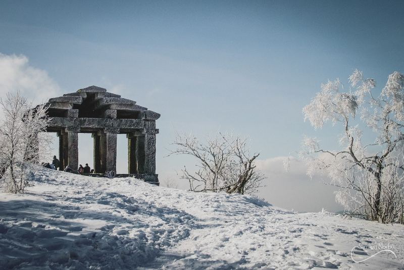 Vosges — photographie de Samten Norbù